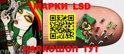 шишки Ирбит