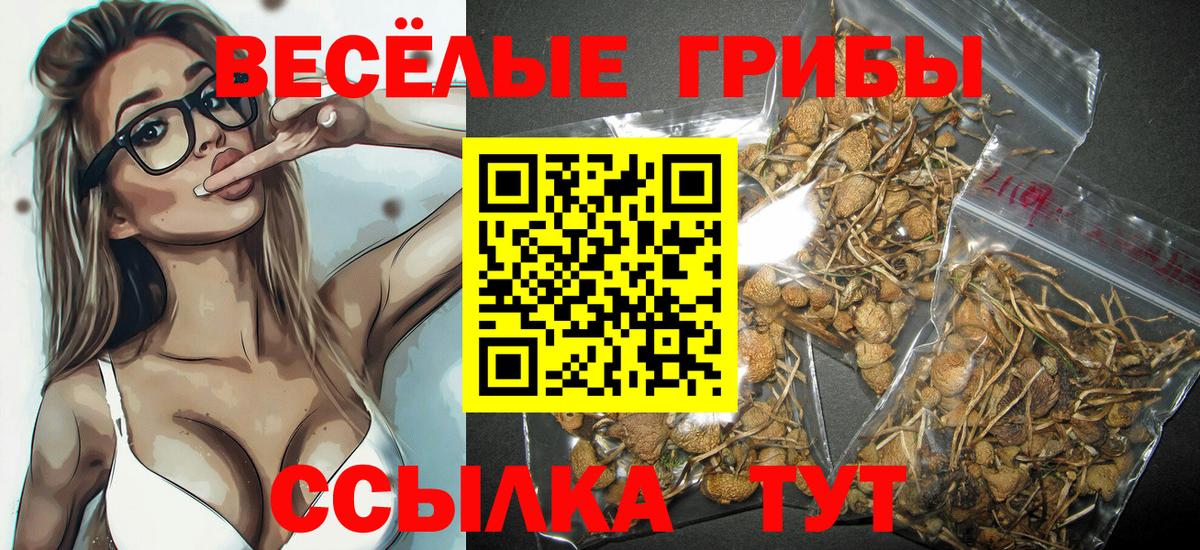 Галлюциногенные грибы Psilocybine cubensis  Галлюциногенные грибы MAGIC MUSHROOMS  Вход с VPN  Лабытнанги 